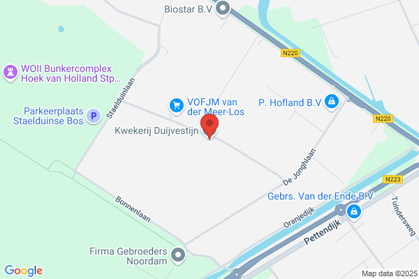 Firma Duijvesteijn
