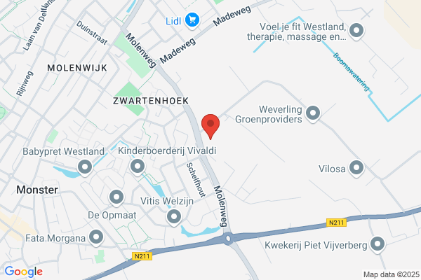 Handelskwekerij Lito Bv