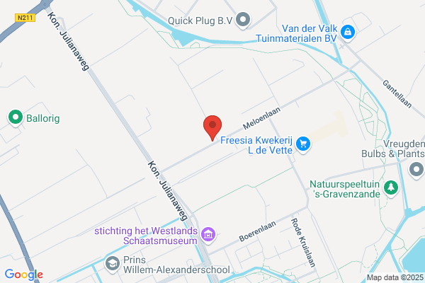 Interieurplant Residentie