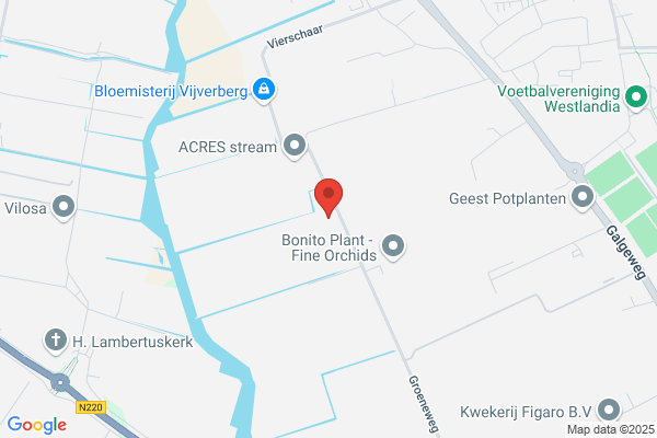 Kustema Bv