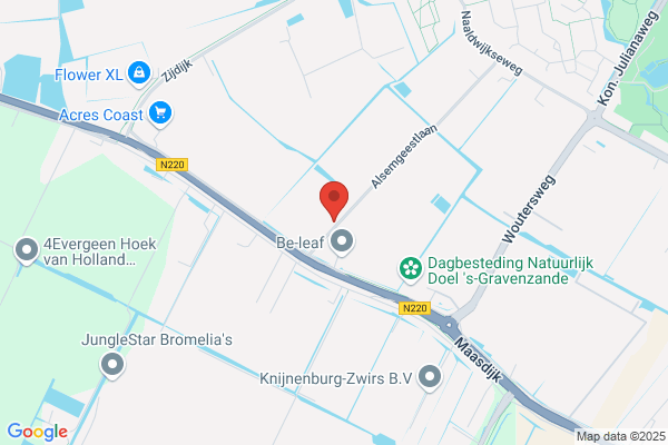 Van Gaalen