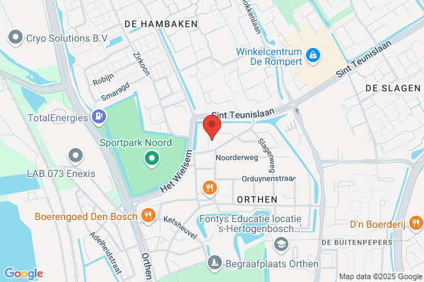 Anatefka dakrenovatie en onderhoud