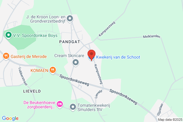 Drog. V.D. Schoot