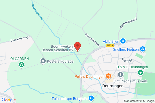 Boomkwekerij Jeroen Scholten BV