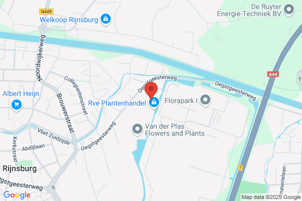 Rijnsflowers Bv
