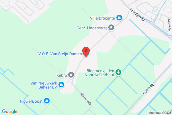 Firma Van Steijn-Damen