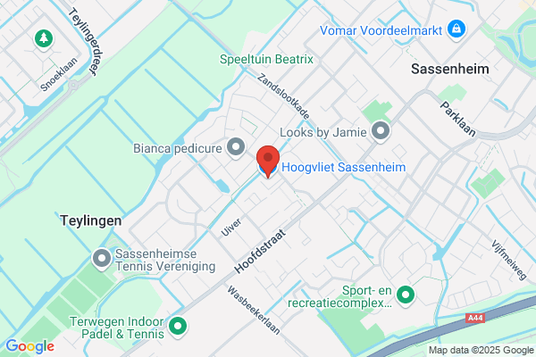 Hoogvliet