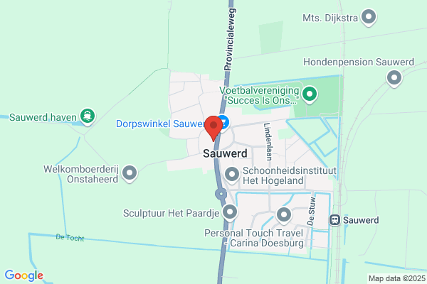 Stadsdraaiorgel De Pronkjewail