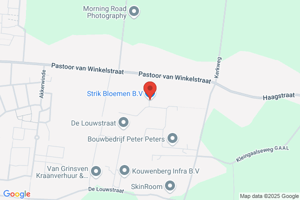 Vof Bloemsierkunst Van De Sluis