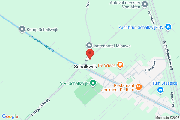 Drs M J H Kortewg