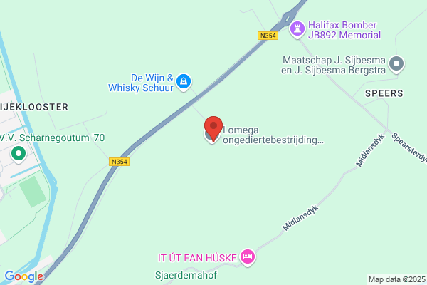 Jong Bv, De