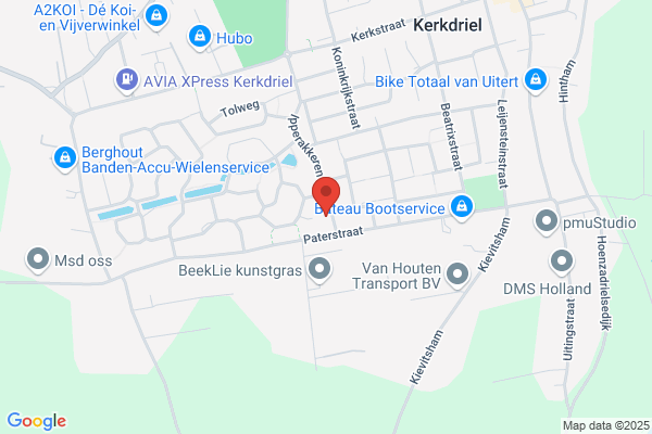 Bruin, Kees De