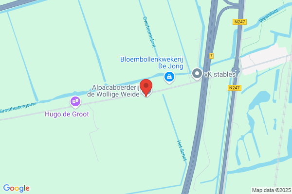 Braas Dakbedekkingen