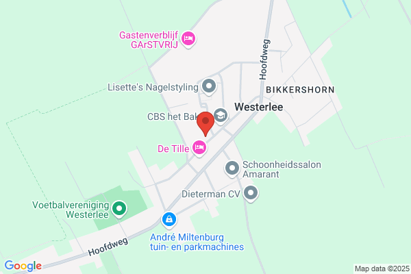 Rietdekkersbedrijf Drenth