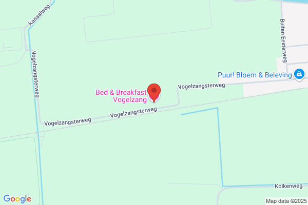 Vogel Bv