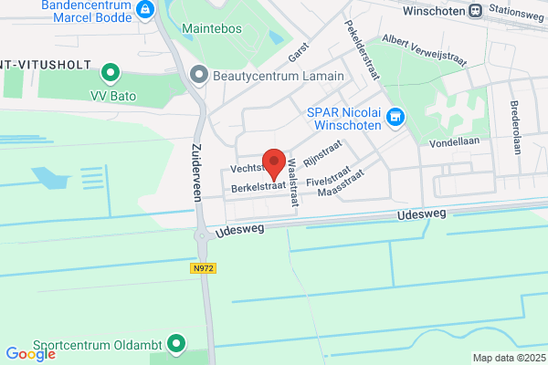 Wespenbestrijder, De