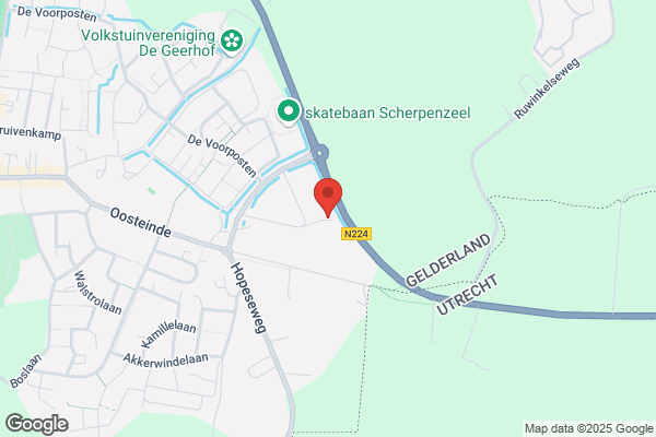 M. Elsenaar