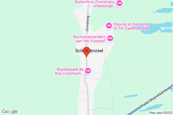 Scholare