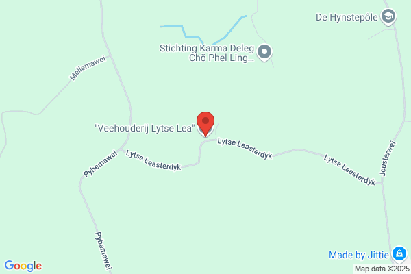 Leemhuis, H W