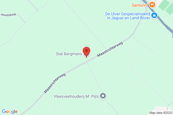 Berghmans