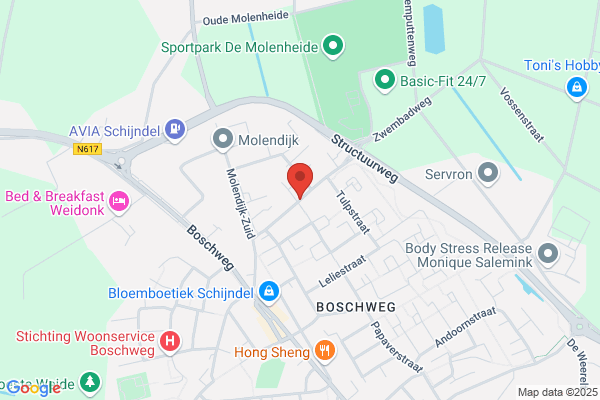 P.A.J.W. V.D. Vorstenbosch