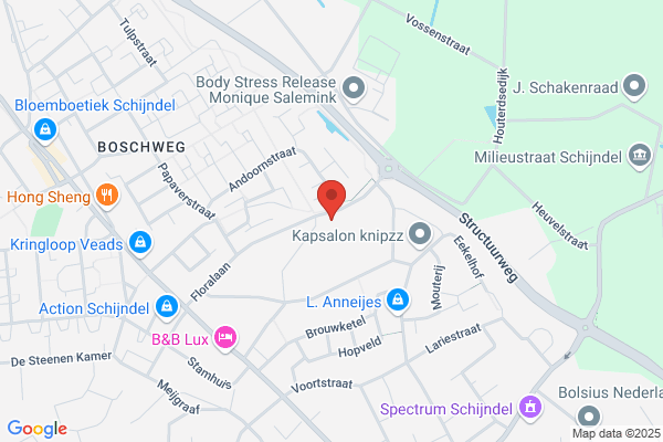 Van Zutphen Auto's