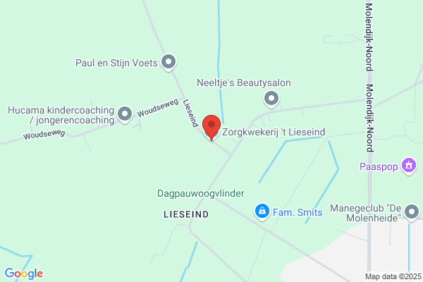 Perkplantenkwerij V/D Dungen