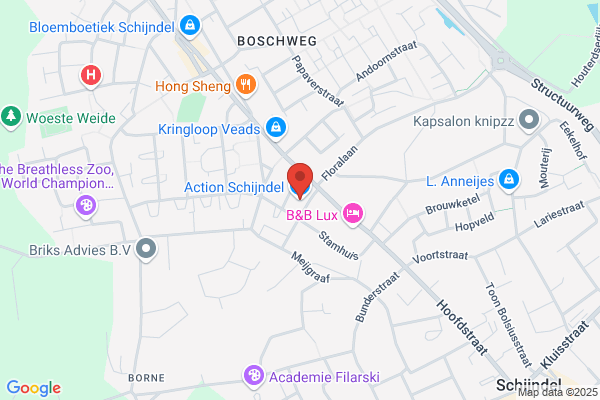 Action Schijndel