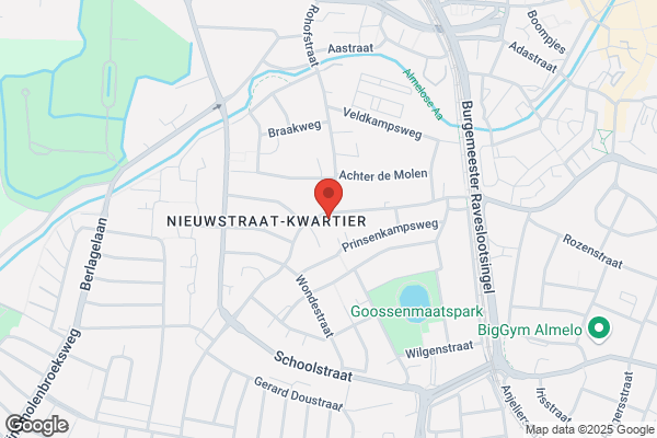 De Gouden Naald