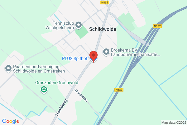 Schillemans