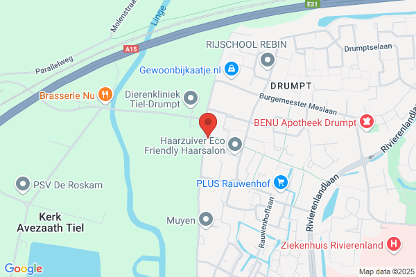 Wesselius Adv.- En Management Consultant