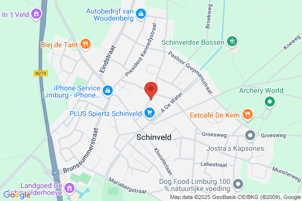 Videoworld, Videotheek