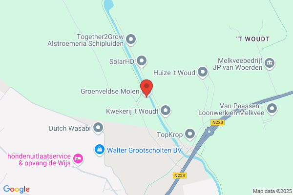 Wiveld