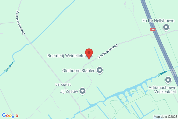 Brenda's Bloemenhoeve
