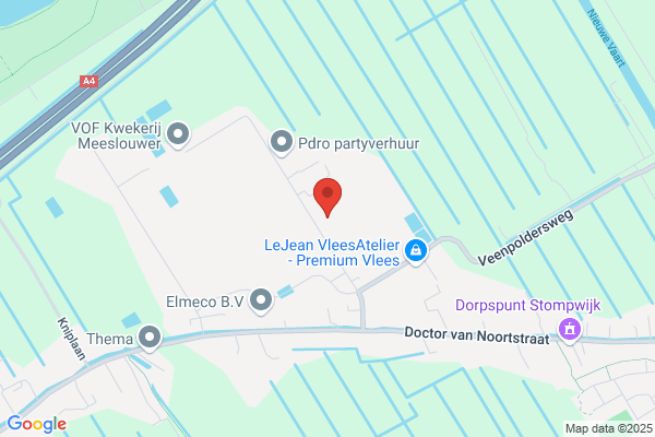 Van Rijn Jongplant Bv