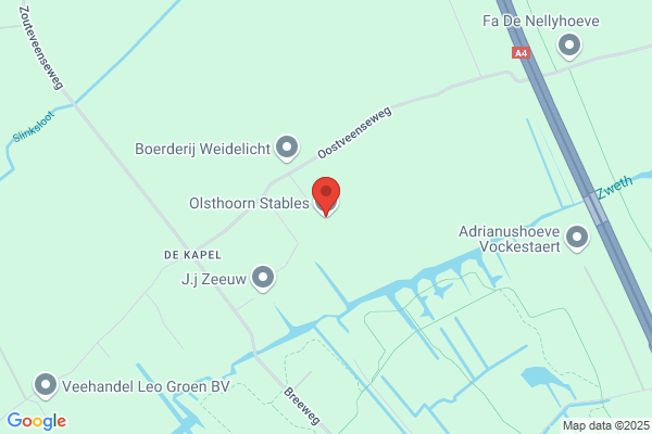 Olsthoorn, C T M