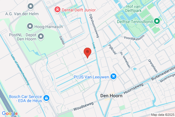 Witschge Van Reijen Taaladvies