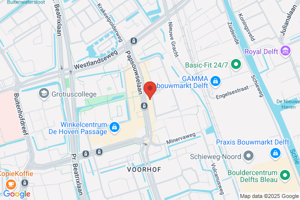 Domino's Pizza Delft Papsouwselaan