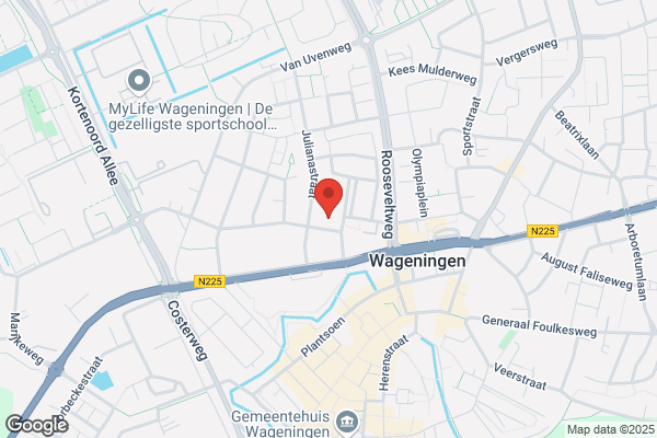 Atelier De Blauwe Tulp