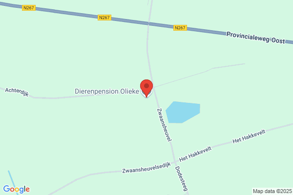 Evita Dierenpension