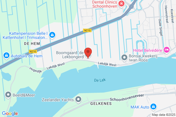 Gebouw, Het