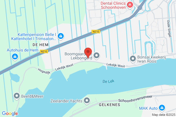 Vergoed, M