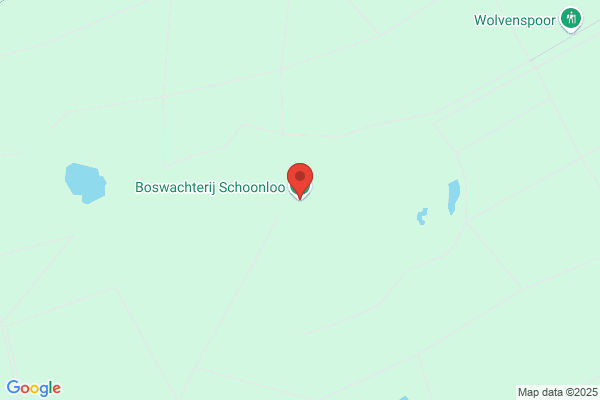 E Bos