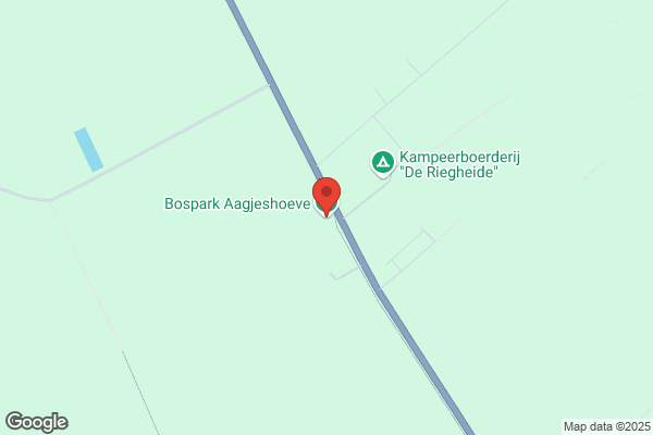 E Bos
