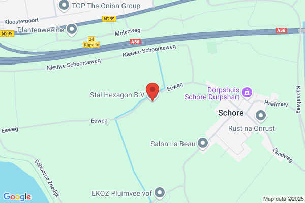 Leunus Van Lieren Hexagon
