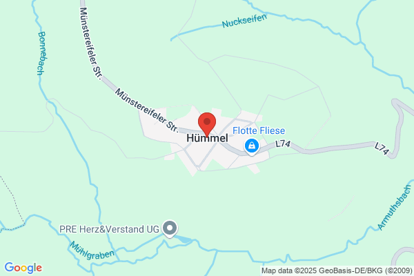 Hummelen, H