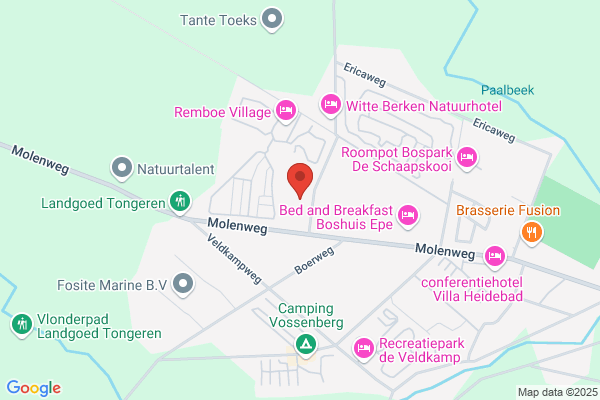 Ir H Post Project-En Interim Management Bv