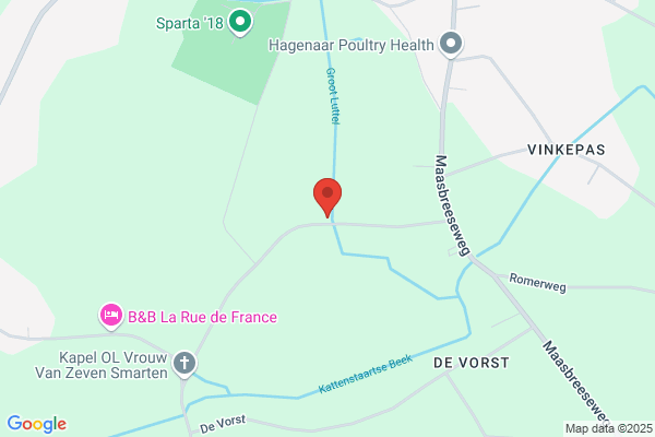 Derks, Hans