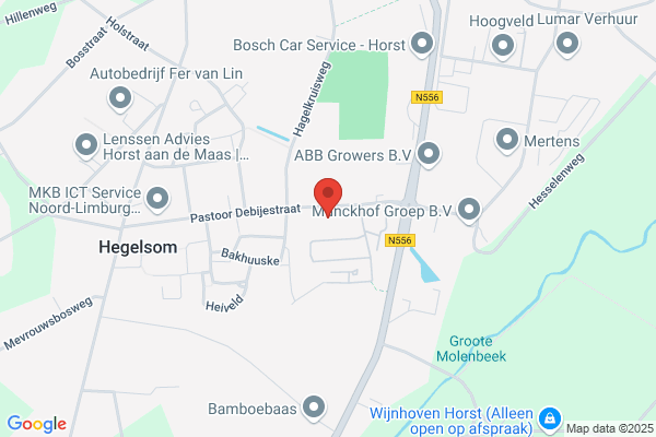 Helden, Jeu Van