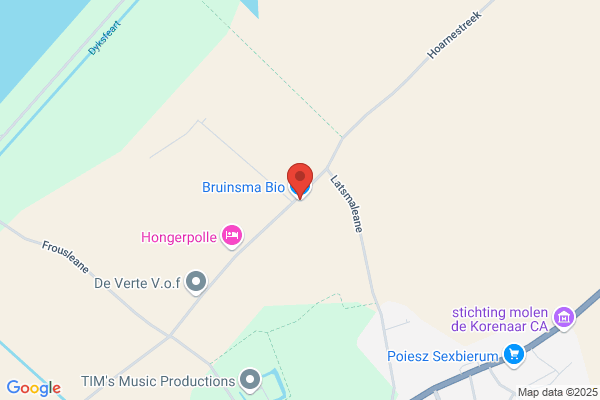Boer, L De